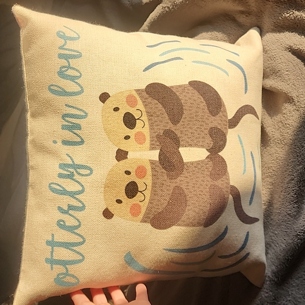 Throw Pillow